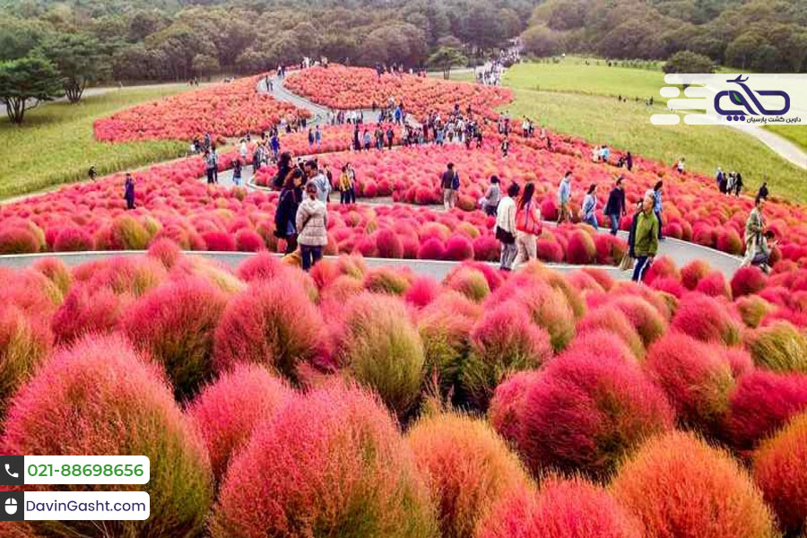 هیتاچیناکا