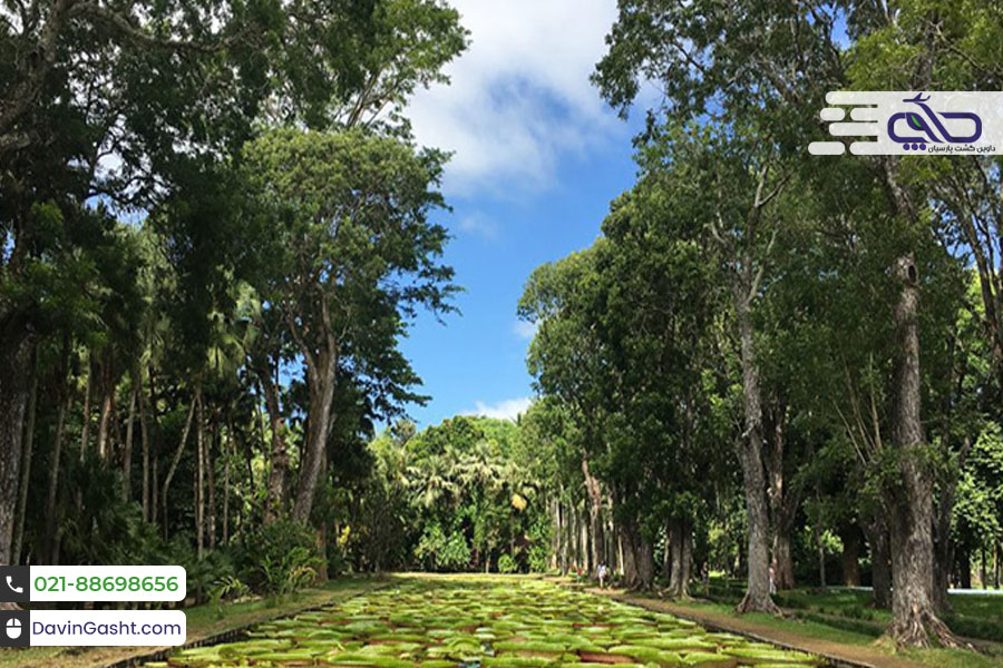 جزیره موریس