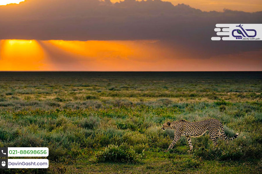 بهترین مقاصد سفر