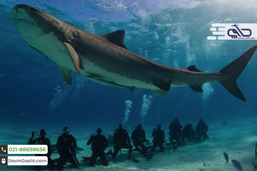 جاذبه های دیدنی پوکت