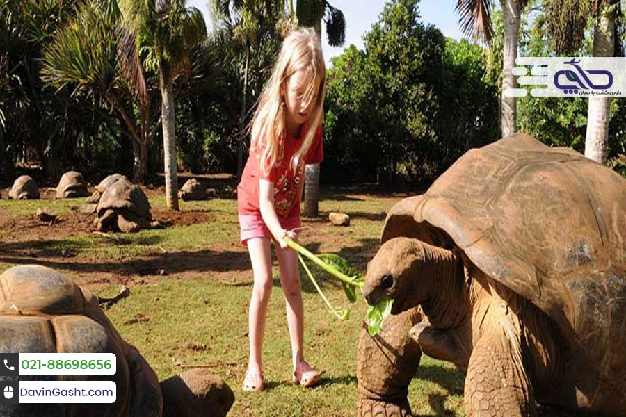 جزیره موریس