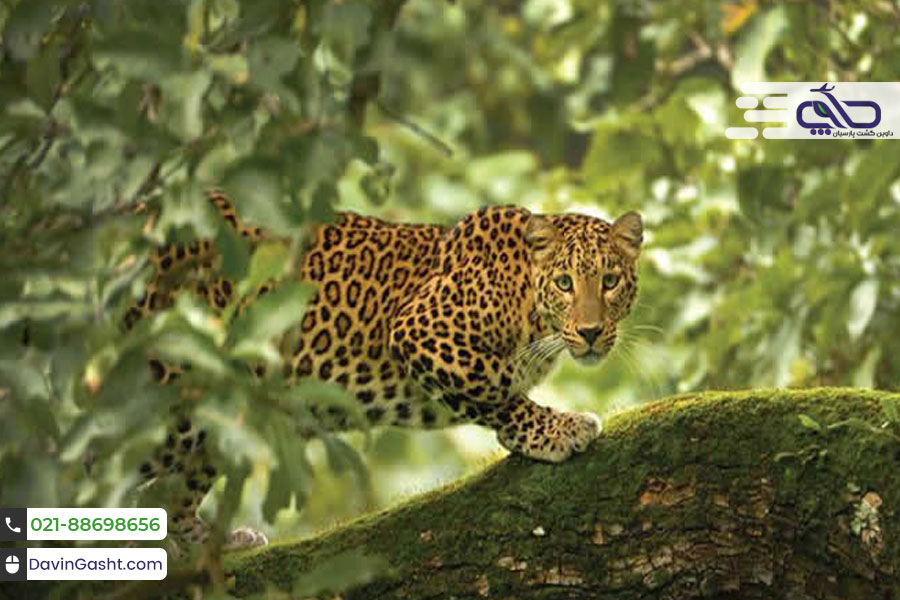 جاذبه های گردشگری هند