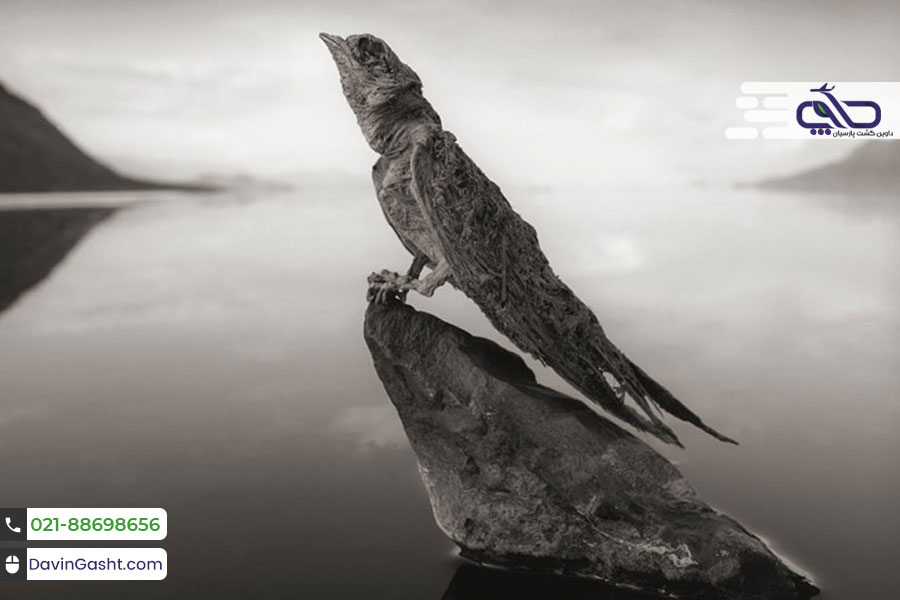 دریاچه ناترون تانزانیا