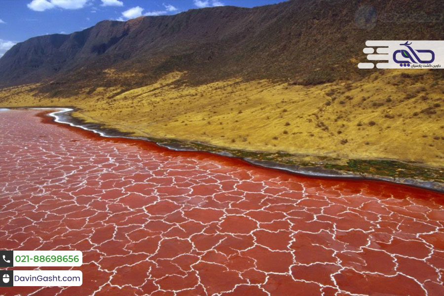 دریاچه ناترون تانزانیا