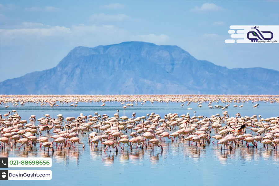 دریاچه ناترون تانزانیا