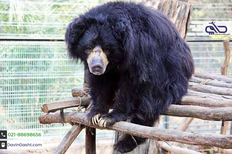 باغ وحش آگرا یکی از برترین جاذبه های آگرا