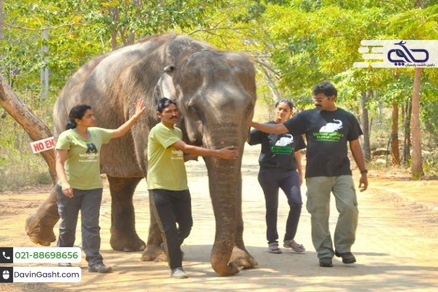 وایلد لایف یکی از برترین جاذبه های آگرا