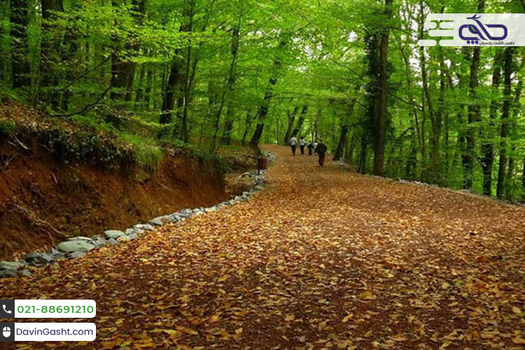 جاذبه های گردشگری استانبول